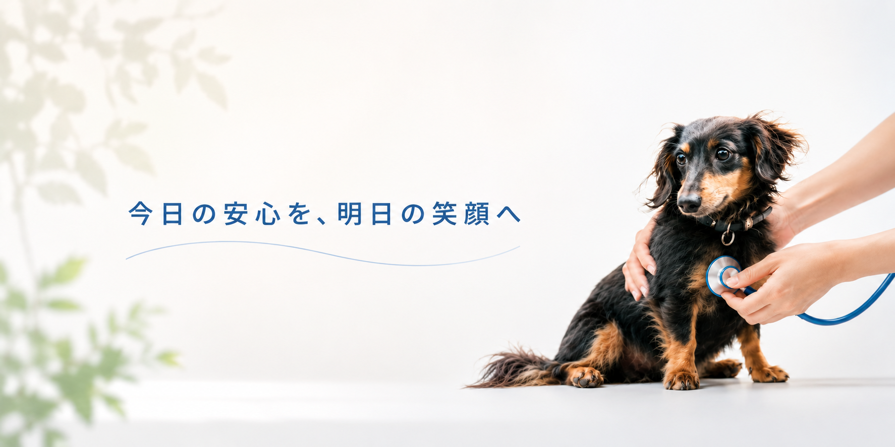 診察を受ける犬と今日の安心を、明日の笑顔へというメッセージ